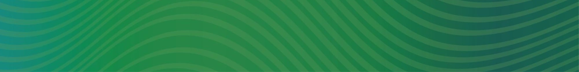 BMW Place Holder (1)